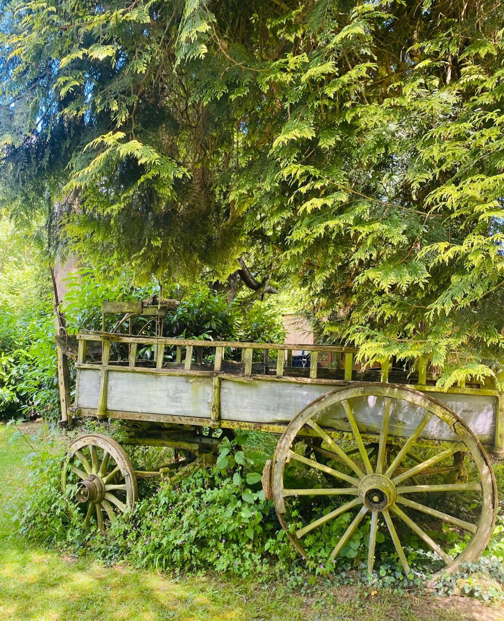 Moulin Du Fontcourt Chasseneuil-sur-Bonnieure Exterior foto